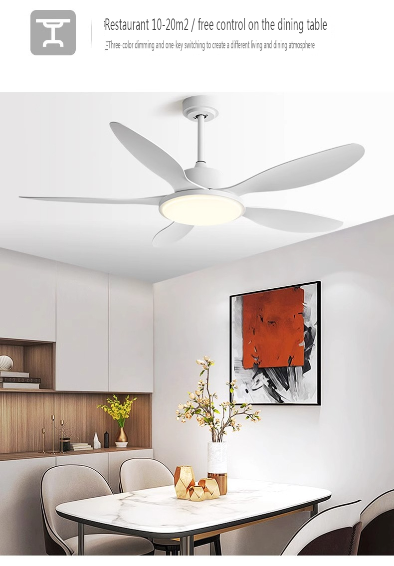 Pool Area Ceiling Fan
