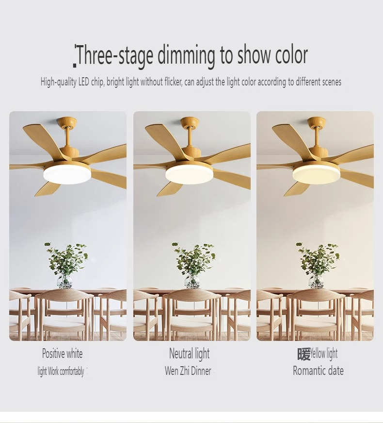 ODM Ceiling Fan Developer