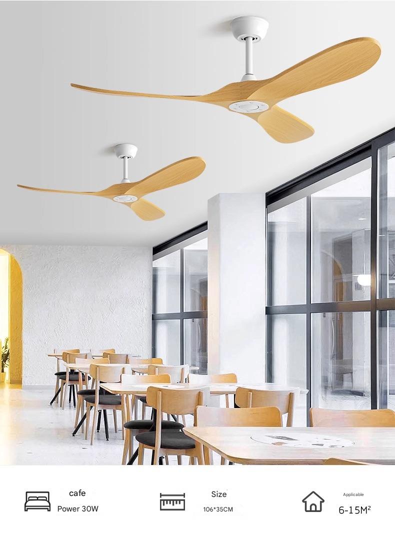 Living Room Fan