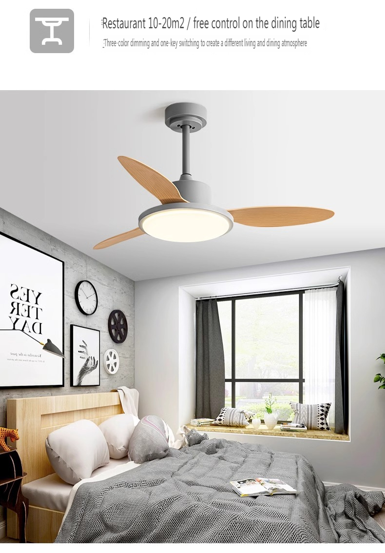 Pool Area Ceiling Fan
