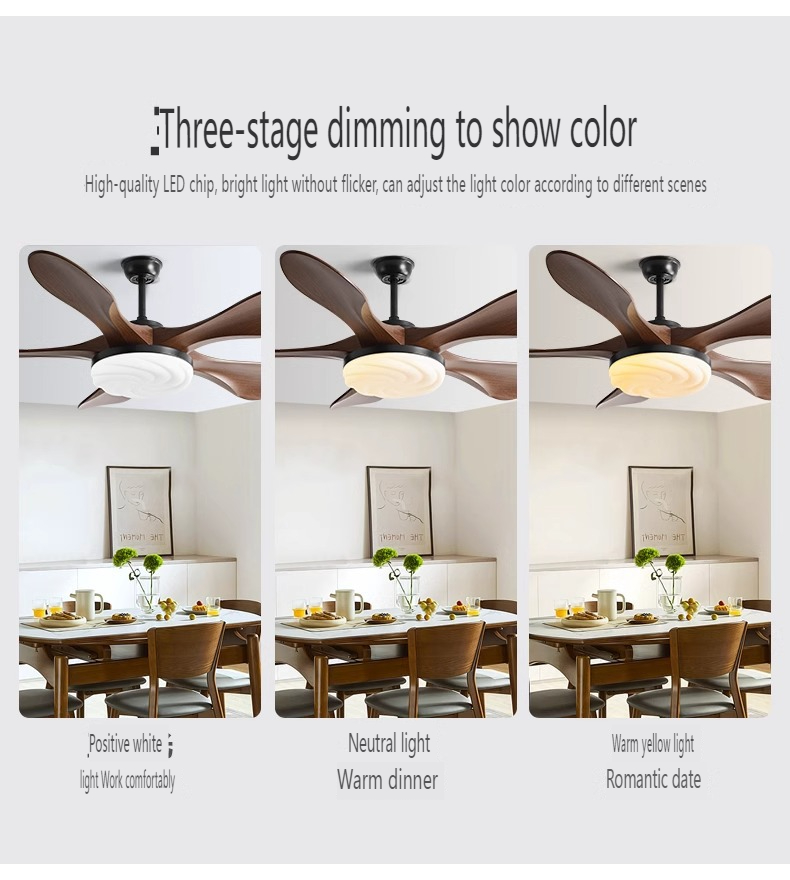 Custom Ceiling Fan Supplier