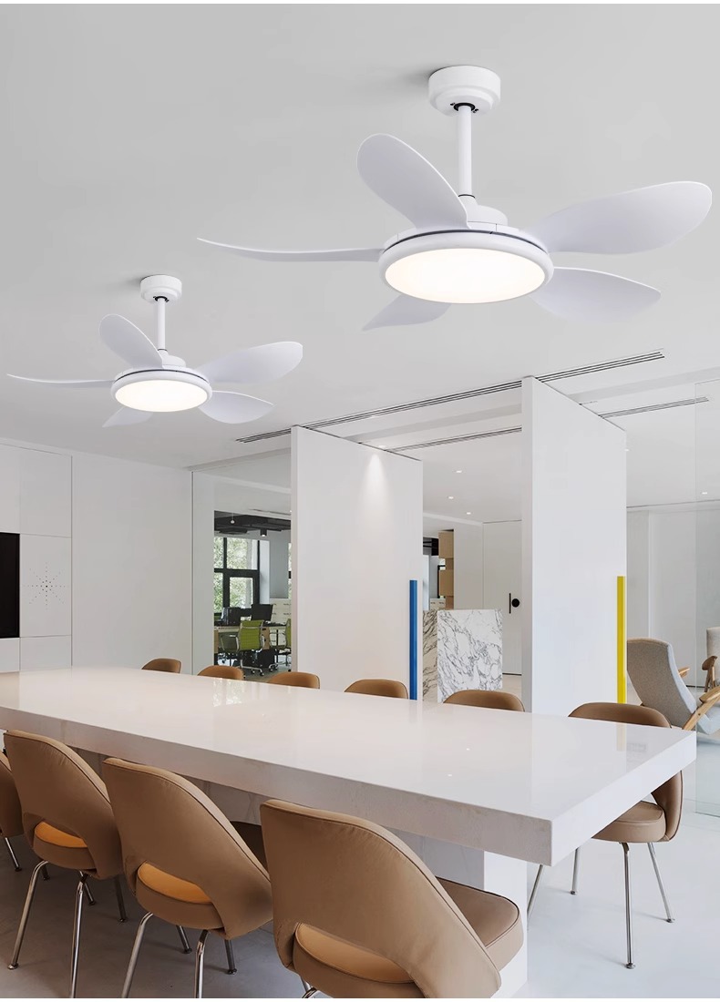  Energy Efficient Ceiling Fan