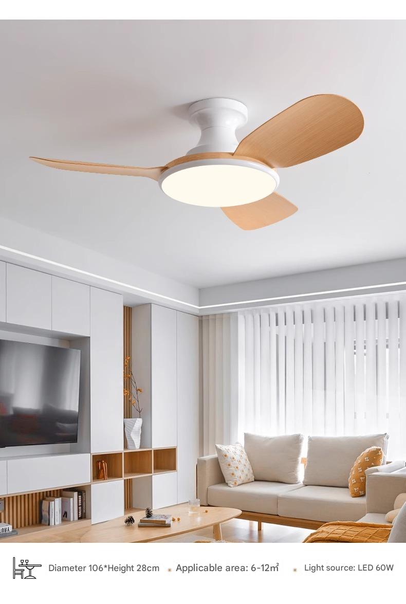 Ceiling Fan with LED Light