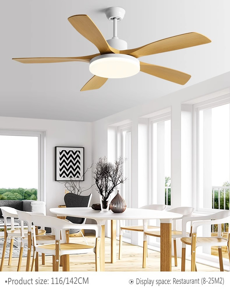 Energy Efficient Ceiling Fan Exporter