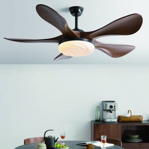 Long Life DC Ceiling Fan