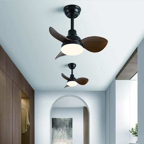 Whisper Quiet Fan with Light