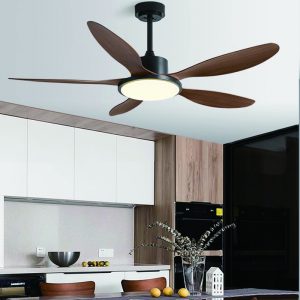 Outdoor DC Motor Fan