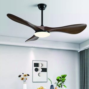 ABS Ceiling Fan Manufacturer
