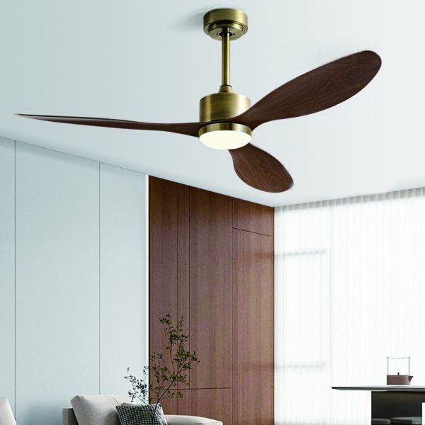 ABS Plastic Ceiling Fan Supplier