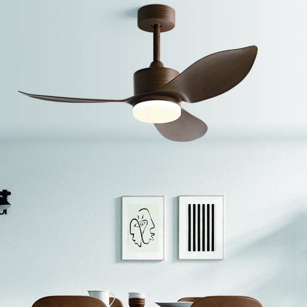 Smart WiFi Ceiling Fan Manufacturer