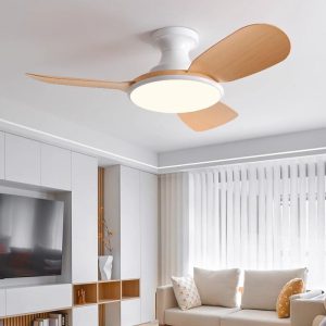 Ultra Quiet DC Ceiling Fan