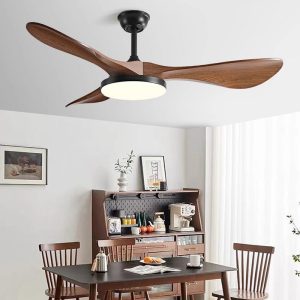 Quiet Ceiling Fans