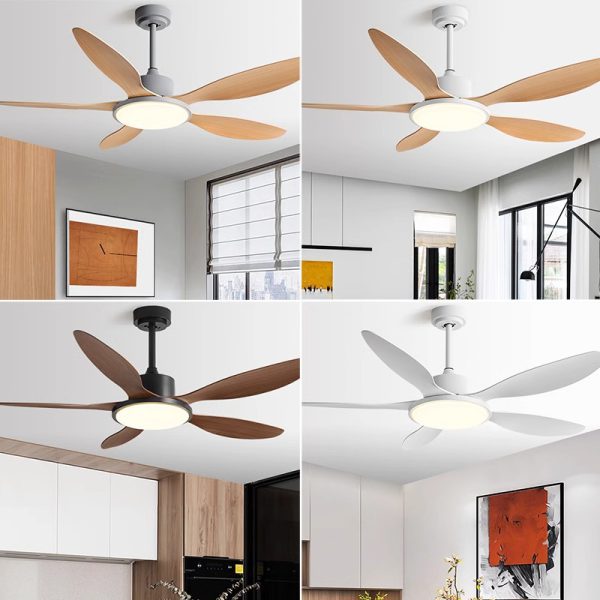 Outdoor DC Motor Fan