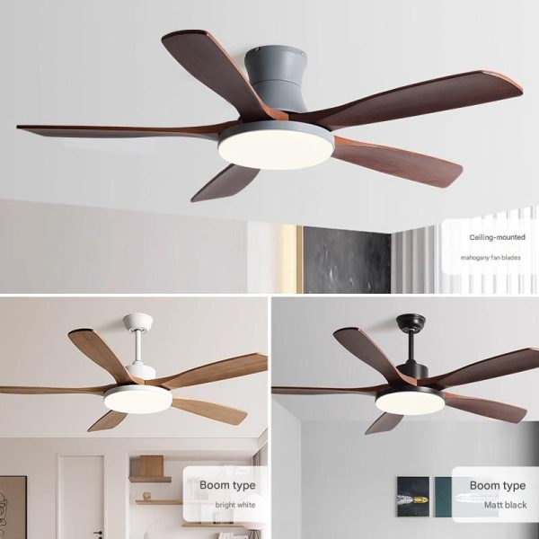 Best FOB Price Ceiling Fan Supplier