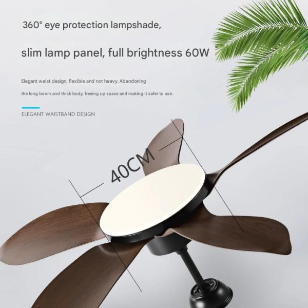 Commercial Tropical Fan