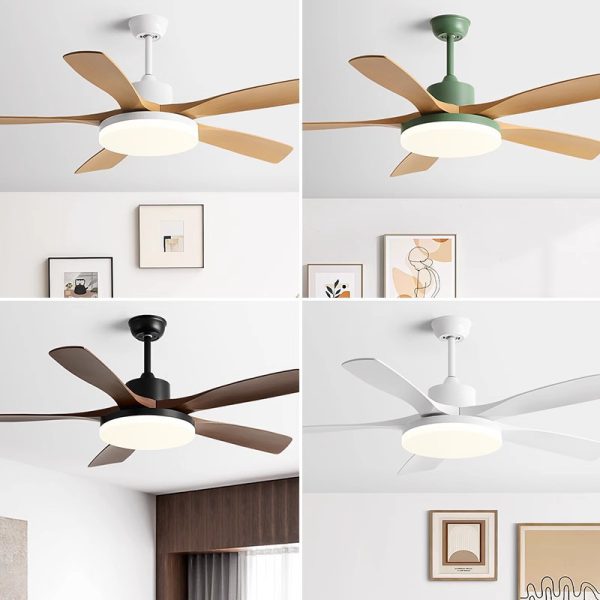 Luxury Designer Ceiling Fan Maker