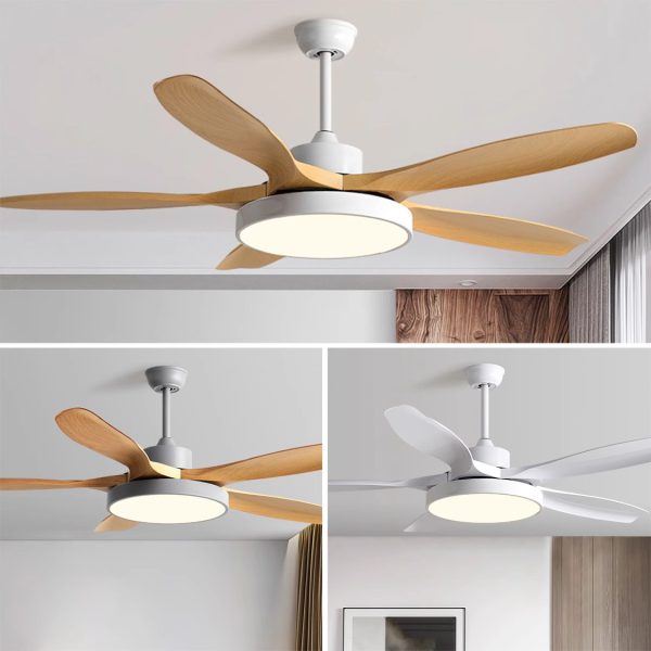 Low MOQ Ceiling Fan Manufacturer