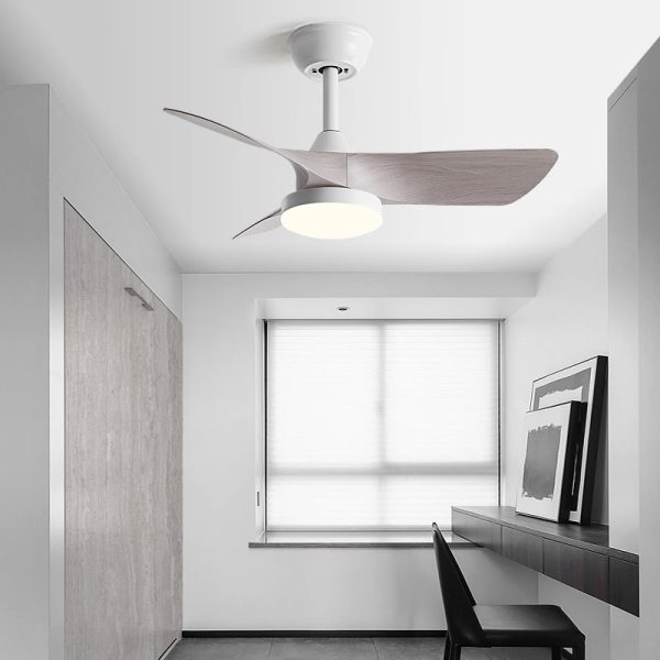 WiFi Enabled Ceiling Fan Supplier
