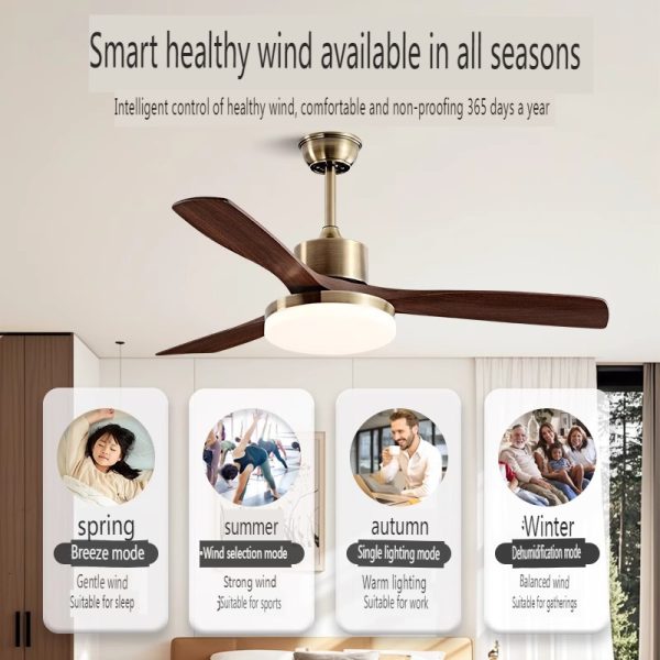 Large Commercial Ceiling Fan Supplier