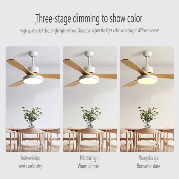 Bulk Ceiling Fan Supplier
