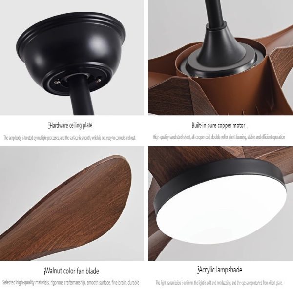 Modern Ceiling Fan with Light