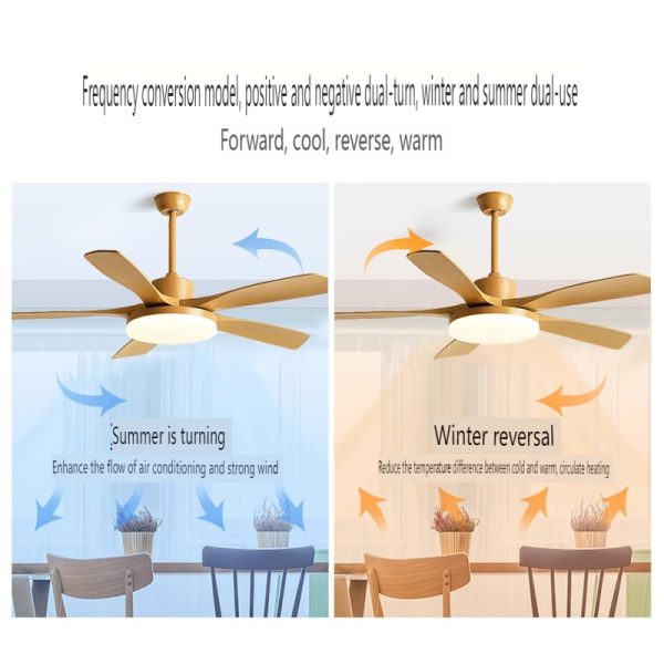 Private Label Ceiling Fan Manufacturer