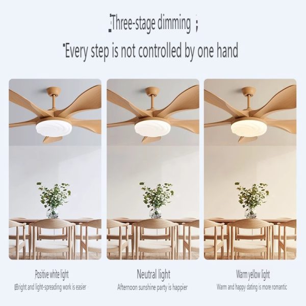 China Ceiling Fan Manufacturer