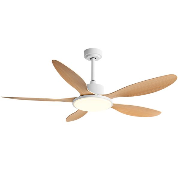 Commercial Outdoor Fan