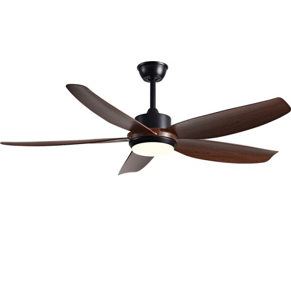 Designer Ceiling Fans