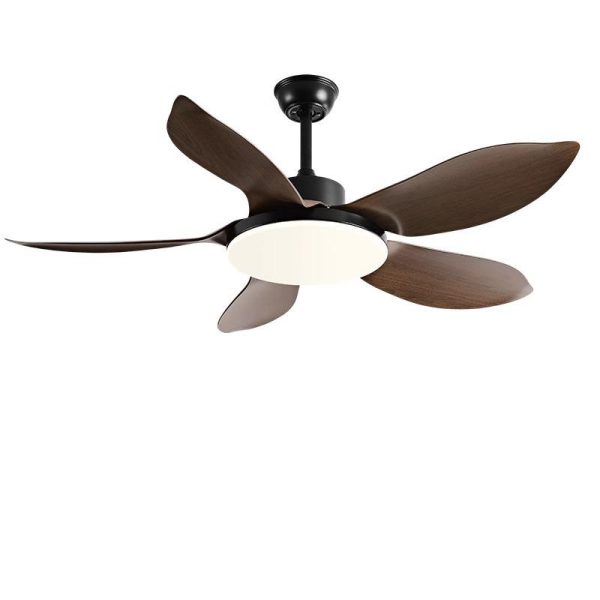 OEM Tropical Fan Supplier