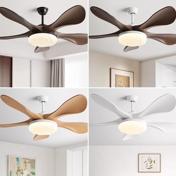 Custom Ceiling Fan Supplier