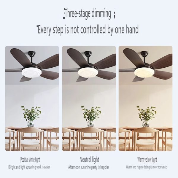 Scalable Ceiling Fan Producer