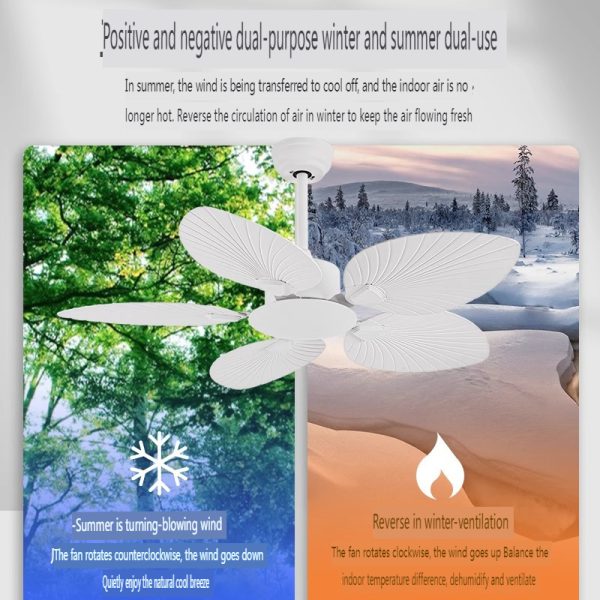 Energy Efficient Ceiling Fan