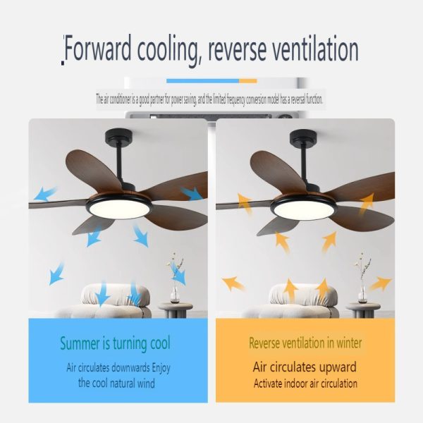 ABS Ceiling Fan Exporter