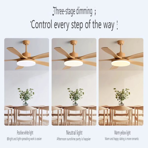 Private Label Ceiling Fan Manufacturer