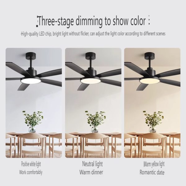 Fast Production Ceiling Fan Supplier