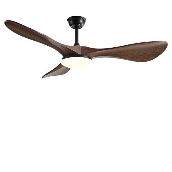 Modern Ceiling Fan with Light