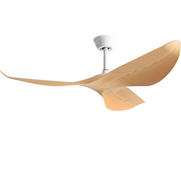 OEM Safety Fan