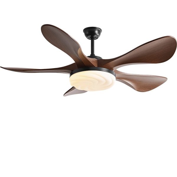 Modern Ceiling Fan with Light