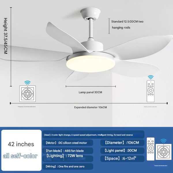 OEM Tropical Fan Supplier