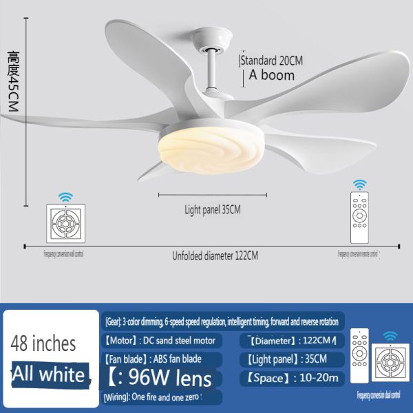 Modern Ceiling Fan with Light