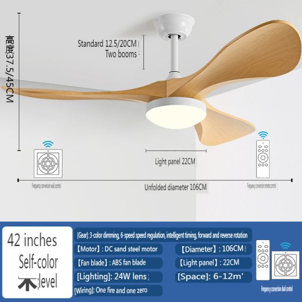 Modern Ceiling Fan with Light