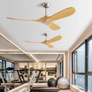 DC Motor Fan